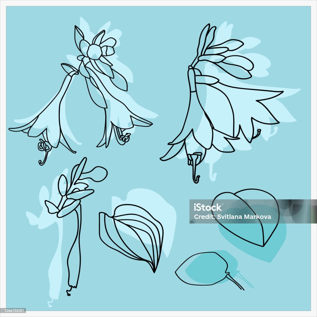 Tuber Pattern Tuber Flowers Pattern Stock Illustration - Download Image Now ...