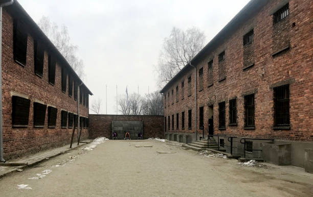 muro de muerte en el campo de concentración nazi en auschwitz, polonia - birkenau fotografías e imágenes de stock