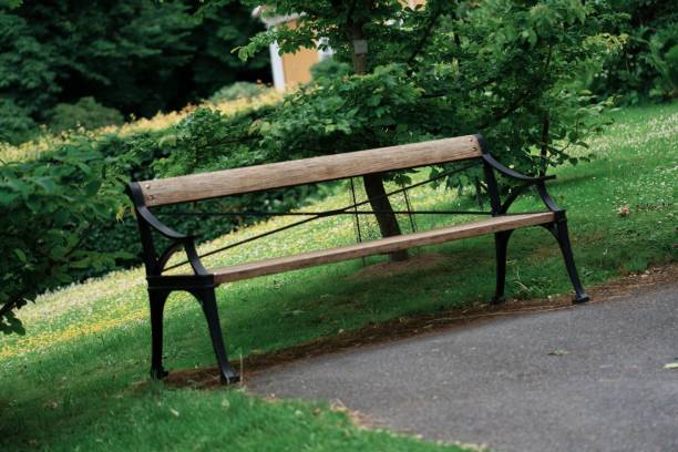istock A simple wooden bench placed outdoor 1266756995