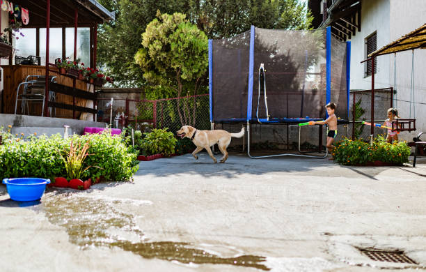 istock Water fun in the backyard 1266758378