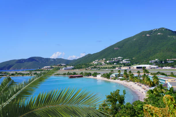 istock View at Emerald beach through palm branches in St. Thomas island, USVI 1266759327