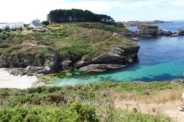 istock Green water in Brittany 1266759534