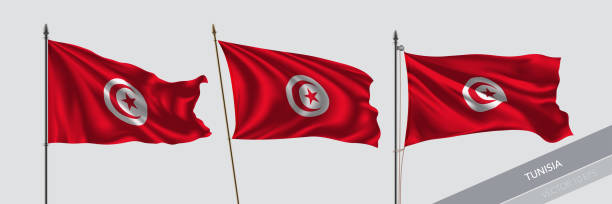 набор тунис размахивая флагом на изолированных фоновый вектор иллюстрации - tunisia stock illustrations