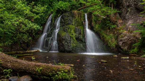 istock Top Falls at Fairy Glen Nature Reserve 1266762526
