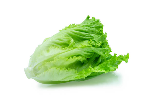 istock Fresh green Lettuce leaves, Salad leaf isolated on white background. with clipping path. 1266763506