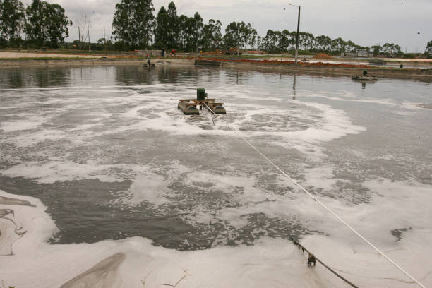 istock sewage treatment plant 1266763631