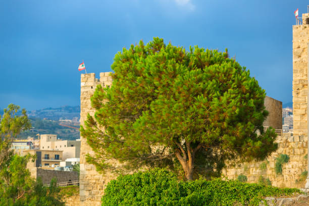 istock Nice view of Byblos Castle, Lebanon 1266764004