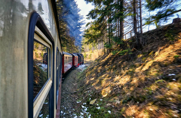 istock Mountain forest through which a steam locomotive drives. Dynamics through motion blur. 1266765351