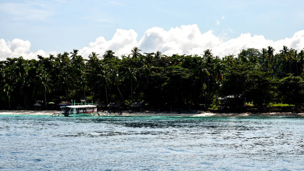 istock Island view with treeline and boat 1266766540