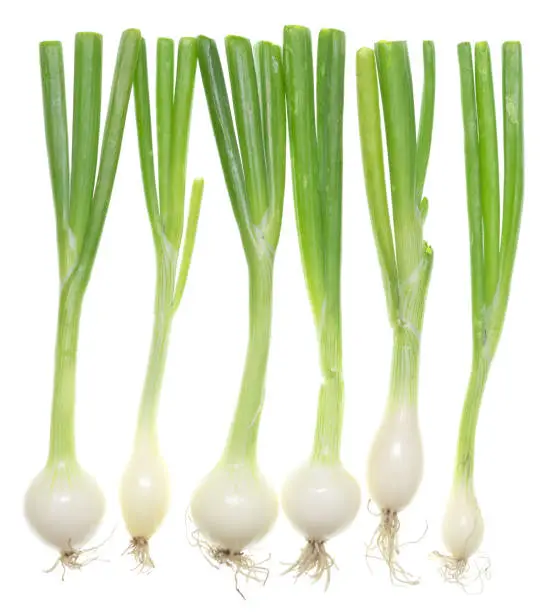 Photo of Green onion