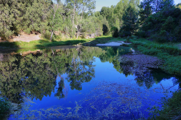 Natural source of Fuentona of Muriel in soria province, Spain