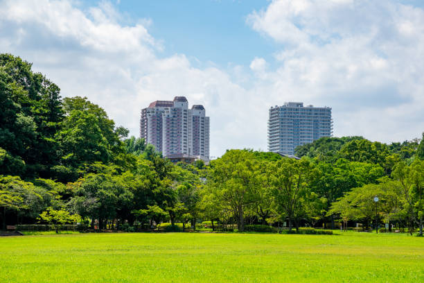 istock Fresh green and blue sky in the park 1266778608