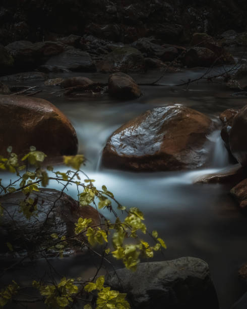 istock A charming stream in southern Austria 1266780435
