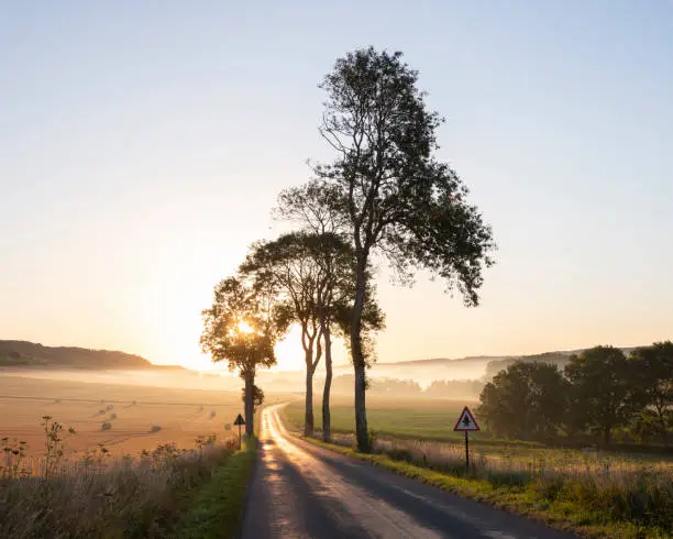 early morning country road in french landscape of picardie near boulogne and calais