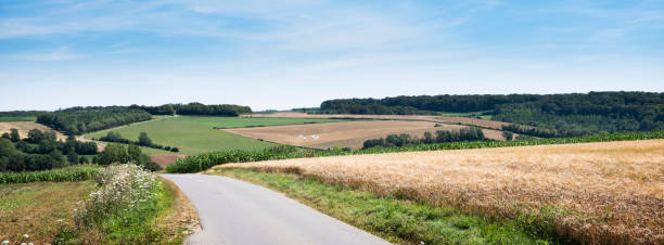 istock cornfields and meadows under blue sky in french pas de calais near boulogne 1266782538