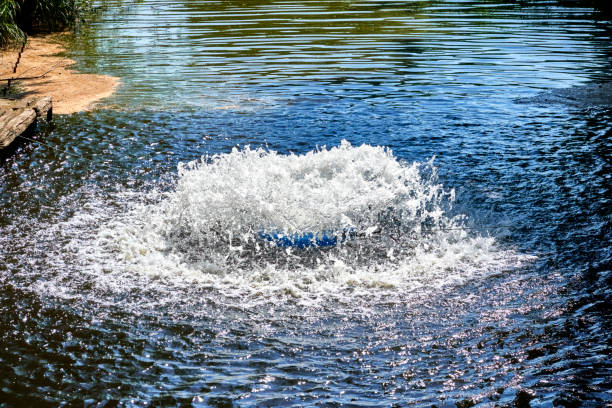물의 산소 함량을 증가시켜야 하는 호수의 폭기 시스템 - air equipment flowing water oxygen 뉴스 사진 이미지