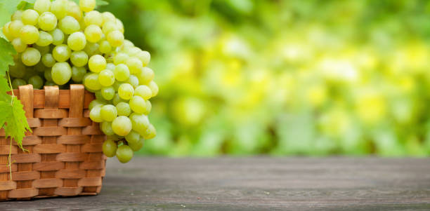 istock Ripe white grape on wooden table in vineyard 1266787286