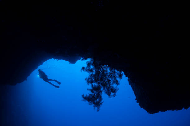 Image of the coral and a female diver at the Blue Holes in Palau - Micronesia