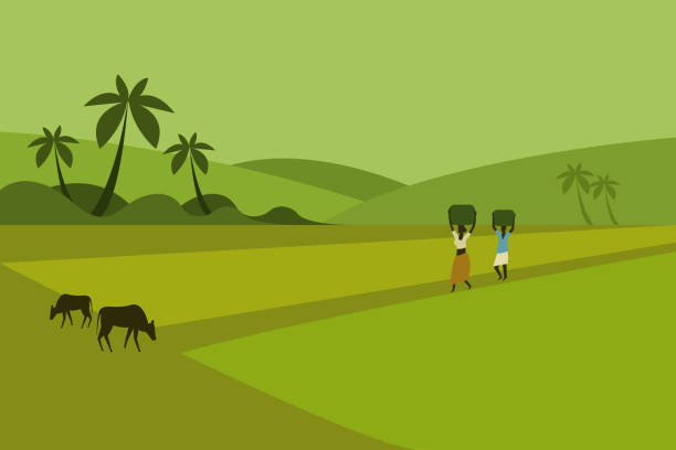 Illustration of rural people walking through paddy fields of South India Illustration of rural people walking through paddy fields of South India tamil nadu landscape stock illustrations