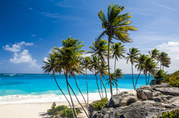 istock Bottom Bay beach in Barbados 1266795044