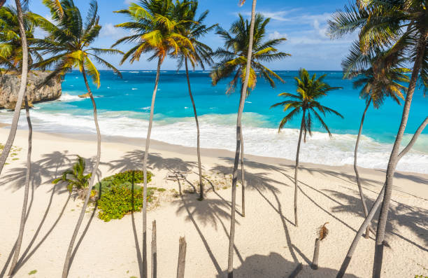 istock Bottom Bay beach in Barbados 1266795235