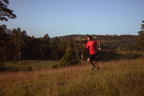 istock Morning jogging in a field 1266796611