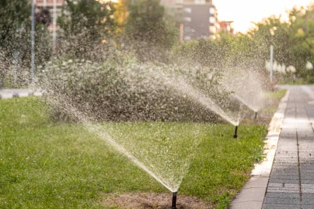istock Water sprinklers for irrigation 1266797596