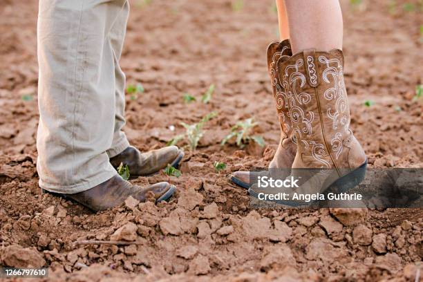 Couple Wearing Cowboy Boots Stock Photo - Download Image Now - Cowboy Boot, Cowboy, Couple - Relationship