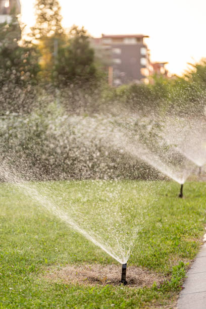 istock Water sprinklers for irrigation 1266797672