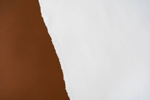 istock Earthy brown and white torn paper background. Overhead Summer theme - Earth tones flatlay. 1266798982