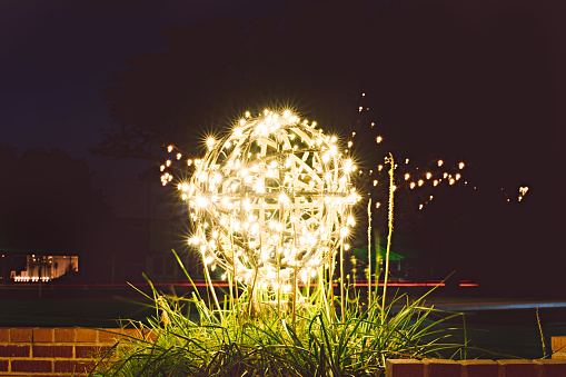 Ball of white lights hovering over long grass. There are additional lights in the background, creating a bokeh effect. Otherwise, the scene is dark, shot at night.