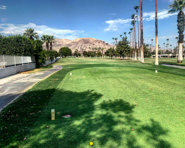 パーム スプリングス ゴルフ - lawn desert golf california ストックフォトと画像