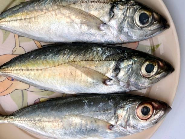 istock Fresh fish kept in a plate for sale 1266801121