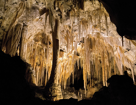 Soda straws, organ pipes, drapes and columns festoon a grotto 800 feet below ground in Carlsbad Cavern.
