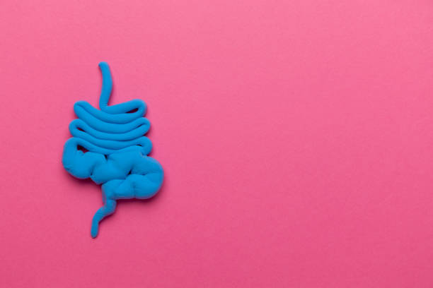 istock Human intestines with pills on a pink background. Diarrhea and constipation. Stitches and stomach discomfort 1266803830