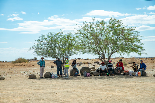 Medium group of people sitting under tree on desert