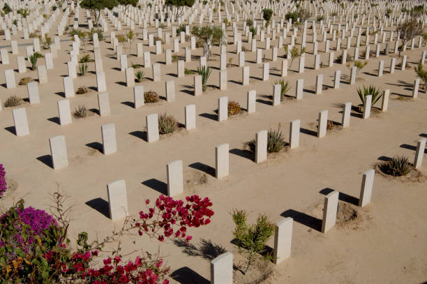 cementerio de guerra de la commonwealth en el alamein, egipto. - alamein fotografías e imágenes de stock