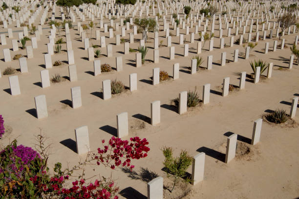 cmentarz wojenny wspólnoty narodów w el alamein w egipcie. - alamein zdjęcia i obrazy z banku zdjęć