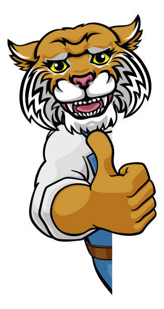 ilustrações de stock, clip art, desenhos animados e ícones de wildcat construction cartoon mascot handyman - bobcat wildcat undomesticated cat animal