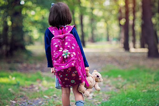 Little school girl is going to school