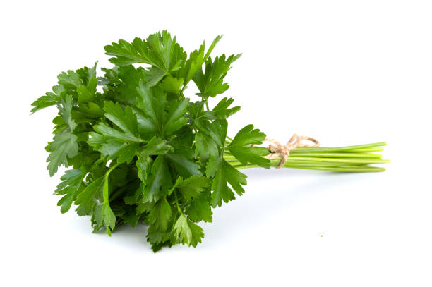 istock Green parsley bunch isolated on white background 1266808522