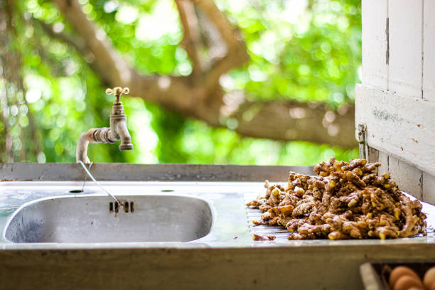 istock Freshly harvested ginger next to a kitchen sink overlooking landscape 1266810310