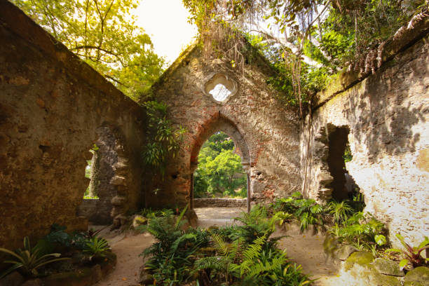 istock Old chapel ruins in a forest covered by vegetation 1266810354