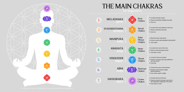 Chakra Energy centers infographic illustration Seven MAIN CHAKRAS chart The principal 7 chakras for energy healing and mindfulness vector infographic design. chakra stock illustrations