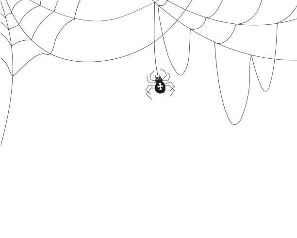 иллюстрация на тему хэллоуина - silhouette spider tarantula backgrounds stock illustrations