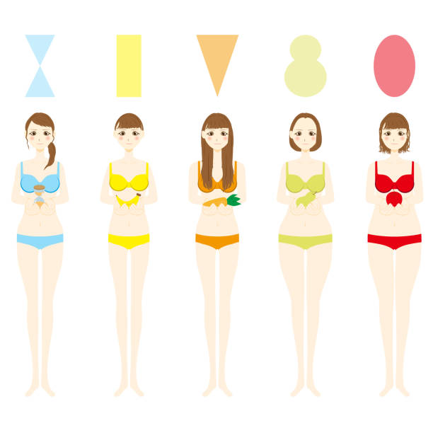 ilustrações de stock, clip art, desenhos animados e ícones de types of the female figure.vector illustration - idealist