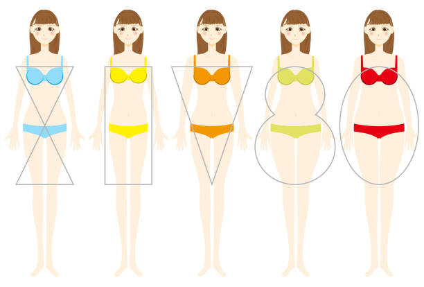 ilustrações de stock, clip art, desenhos animados e ícones de types of the female figure.vector illustration - idealist