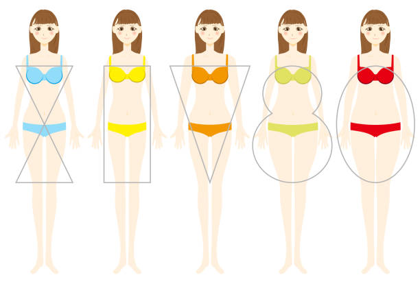 Types of the female figure.vector illustration Types of the female figure.vector illustration slenderman fictional character stock illustrations