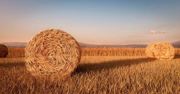 Digitally generated hay bales on the field at sunset\n\nThe scene was rendered with photorealistic shaders and lighting in Autodesk® 3ds Max 2020 with V-Ray 5 with some post-production added.