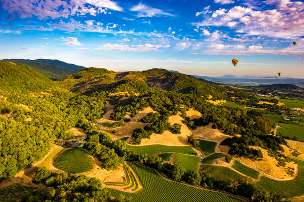 montgolfière au-dessus de napa valley, ca - aerial view mid air farm field photos et images de collection